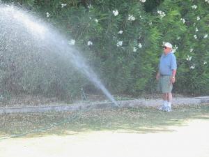 sprinkler repair man in Alamo California checks the throw distance of a pop up head
