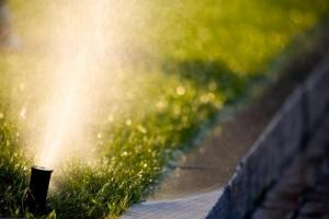 a newly installed pop up head irrigates a Danville lawn